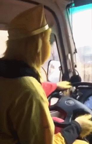 空姐的直播工作日常,和空姐合租日常