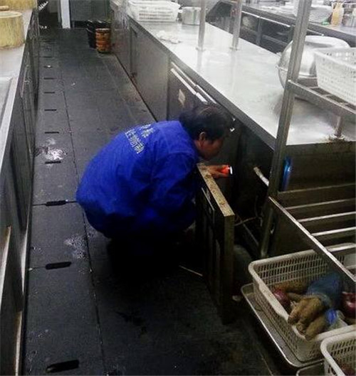 重庆专业灭蟑螂小妙方,重庆住宅灭蟑螂方案