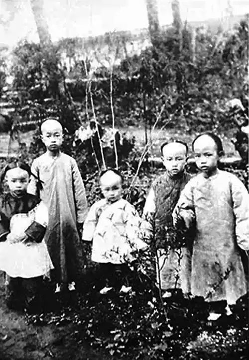 他，没有一张文凭被誉为“三百年才出一个的大师”“教授的教授”