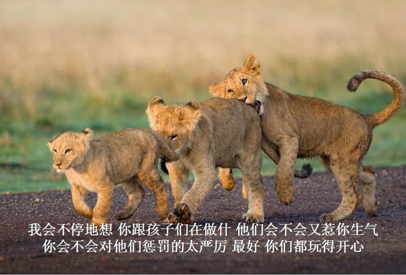 我只想说声爱你,只想再爱你一次