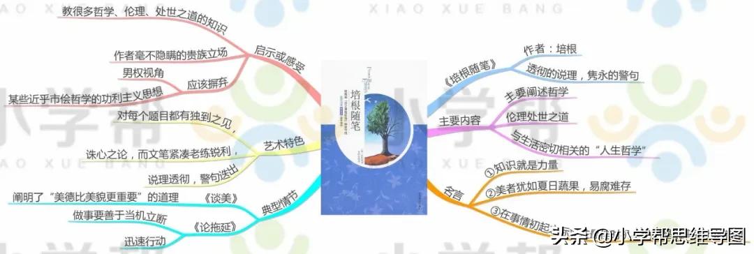 九年级语文名著思维导图上册,思维导图入门必看小学语文