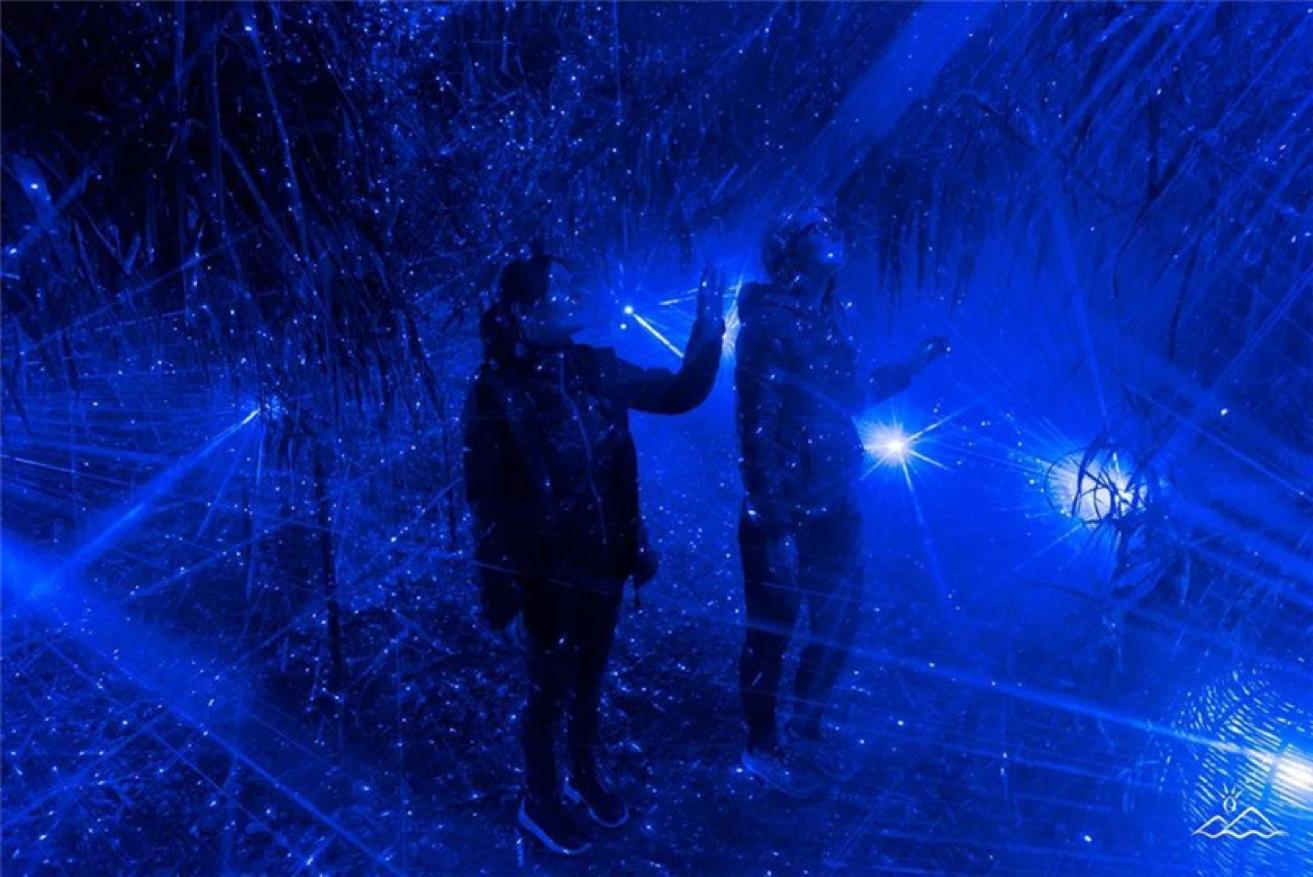 新加坡夜间动物园都有什么动物,新加坡动物园开放时间