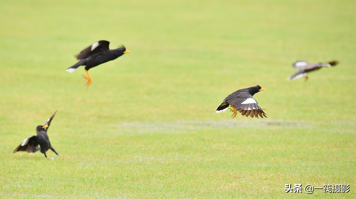 儿童参加什么户外活动对眼睛最好,适合孩子户外锻炼眼睛的运动
