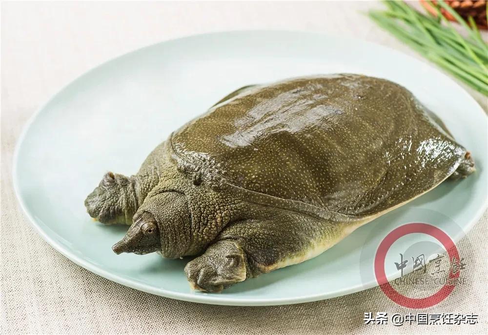 关于拒绝野味的小知识,杜绝野味还是拒绝野味