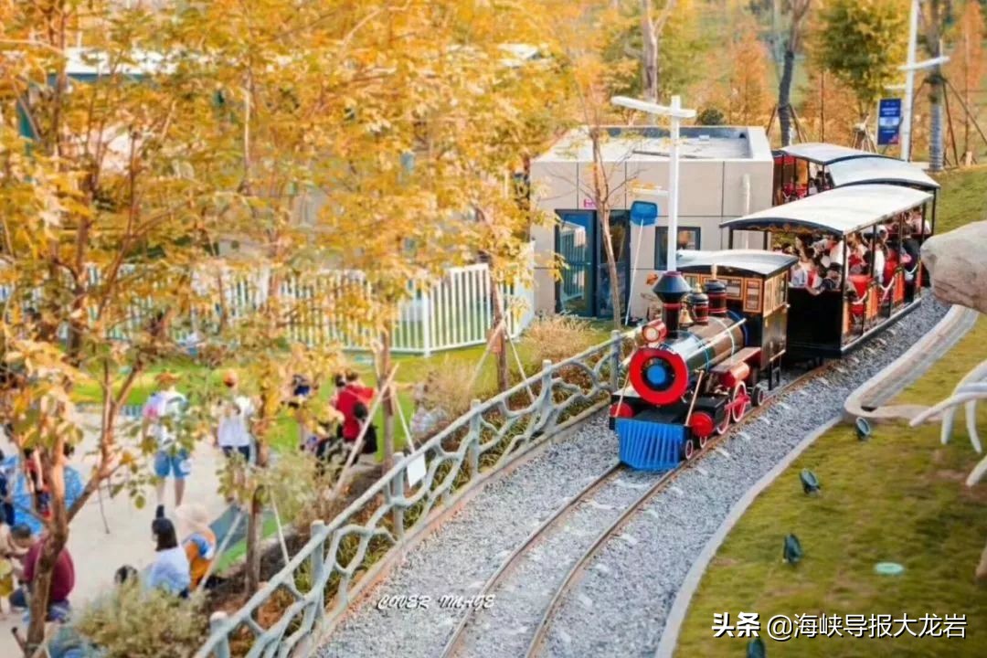 龙岩市新罗区紫金山儿童欢乐园,龙岩紫金山体育公园儿童欢乐园