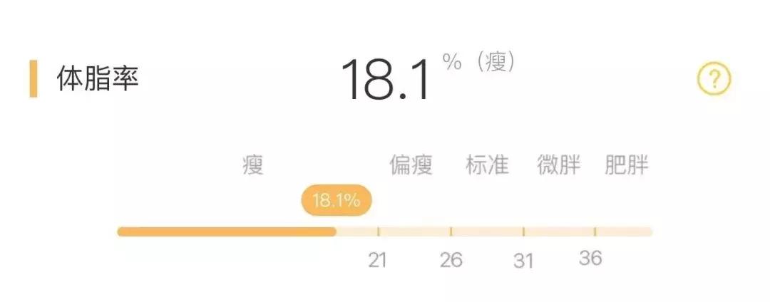 摇一摇减肥工具,减肥工具振动器