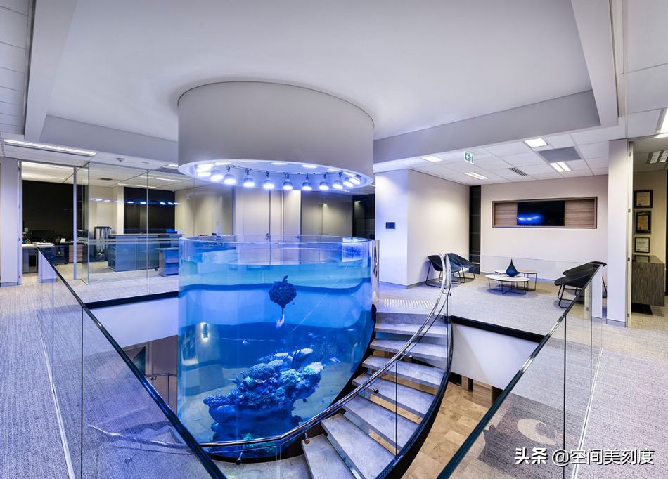 易养的热带观赏鱼有哪些,好养耐活的热带观赏鱼都有哪些