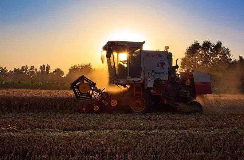 诗歌的收获,有关收麦子的古诗词有哪些