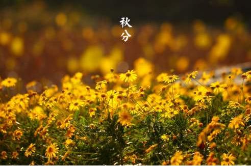 为什么是124年难遇的秋分节气,秋分节气农民在农事上有什么安排