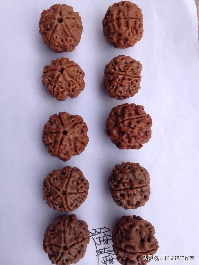 金刚菩提108颗都有什么皮质,金刚菩提的挑选