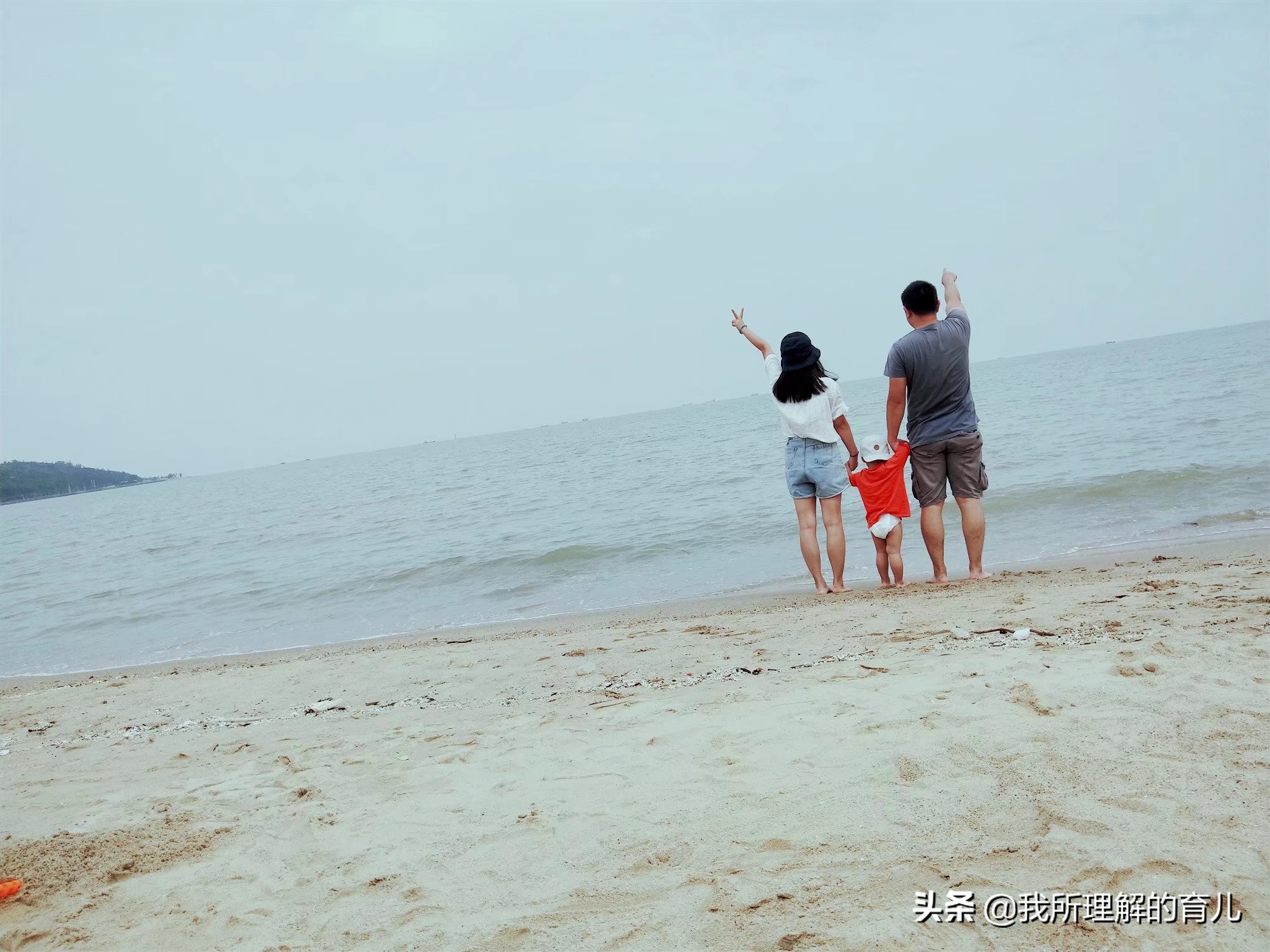 不带娃广州长隆野生动物园攻略,带孩子去广州长隆野生动物园攻略