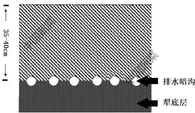 霜冻冰雹雪灾应对措施,冰雹天气请注意防范