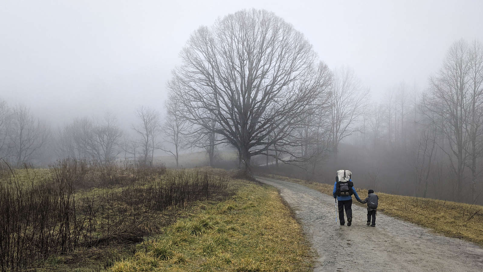 5岁男孩骑行5公里,男孩5天骑行200多公里