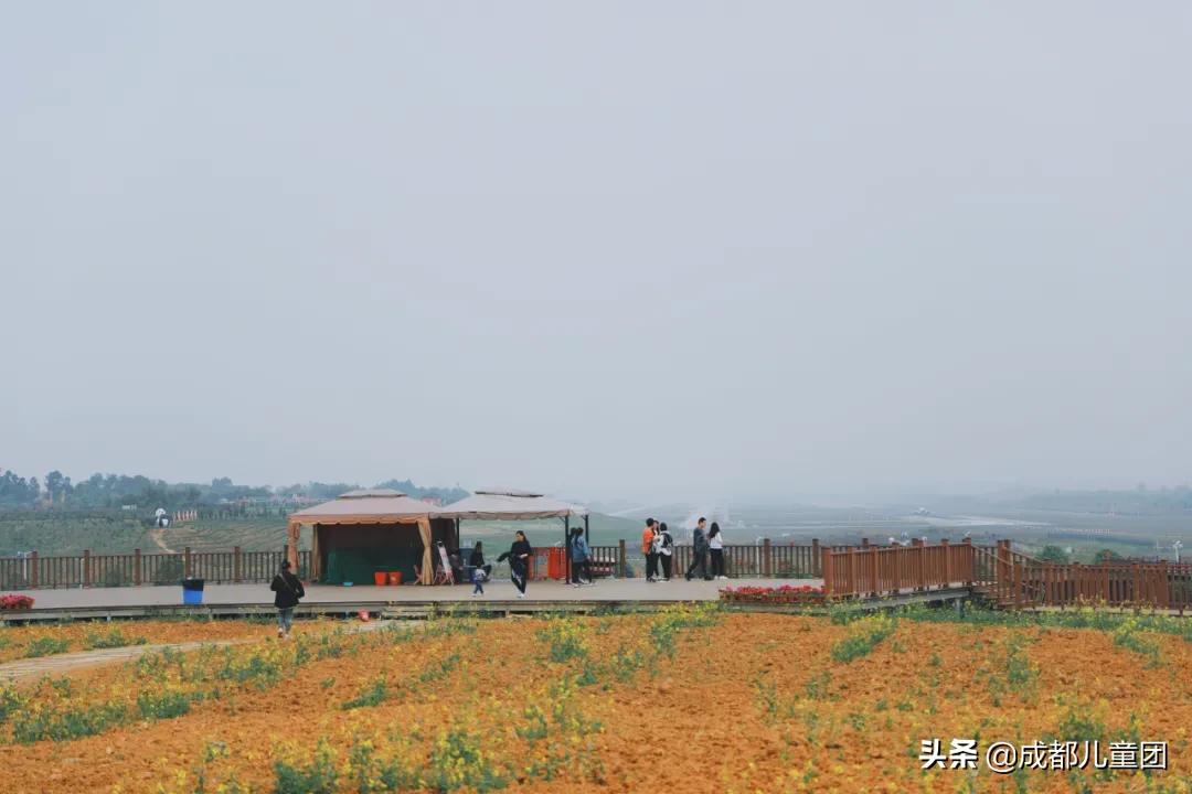 双流空港体育公园看飞机攻略,周末去空港花田