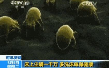 蚕丝被盖了几年烂了,蚕丝被被曝光了