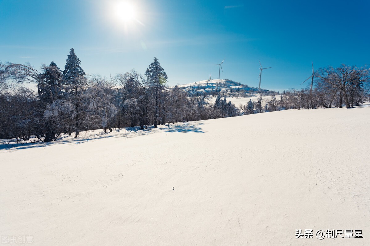 暮虎识香421章,暮虎识香156章