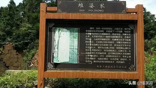 摆地摊卖冷门茶,茶摊一般卖什么茶叶