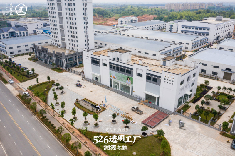 三伏天贴艾贴真的祛湿祛寒,艾艾贴祛湿气贴哪里