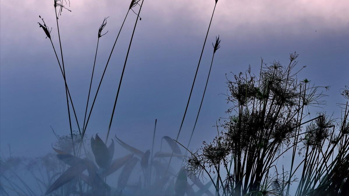 跑腿行业分析,跑腿行业赚钱吗