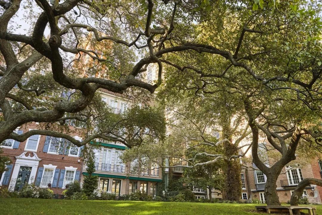 羽西年轻时的照片,十年前羽西