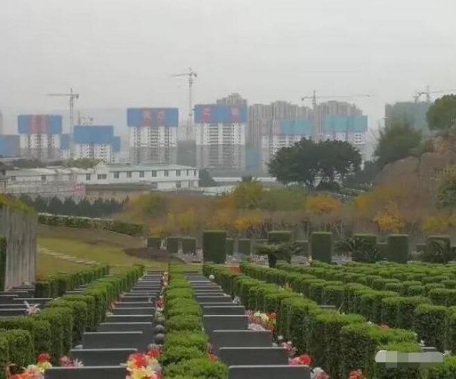 泰禾五四北的房子好不好呀,东泰禾和五四北泰禾