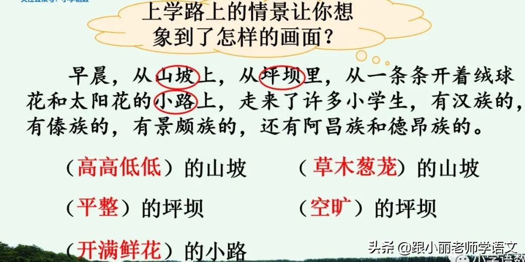 大青树下的小学必会知识点,大青树下的小学必考知识点