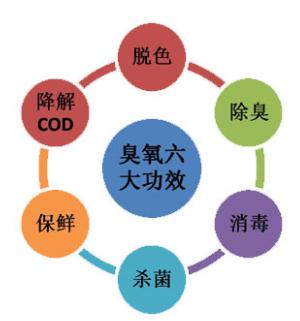 大自然的礼物868,大自然的礼物