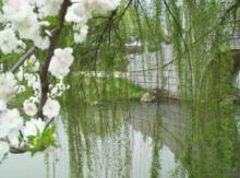 清明节这天为什么叫清明节,清明节在古代是怎么过的