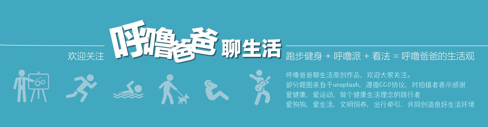 犬类排行榜第一名是什么狗,公认十大最好养的狗小型犬