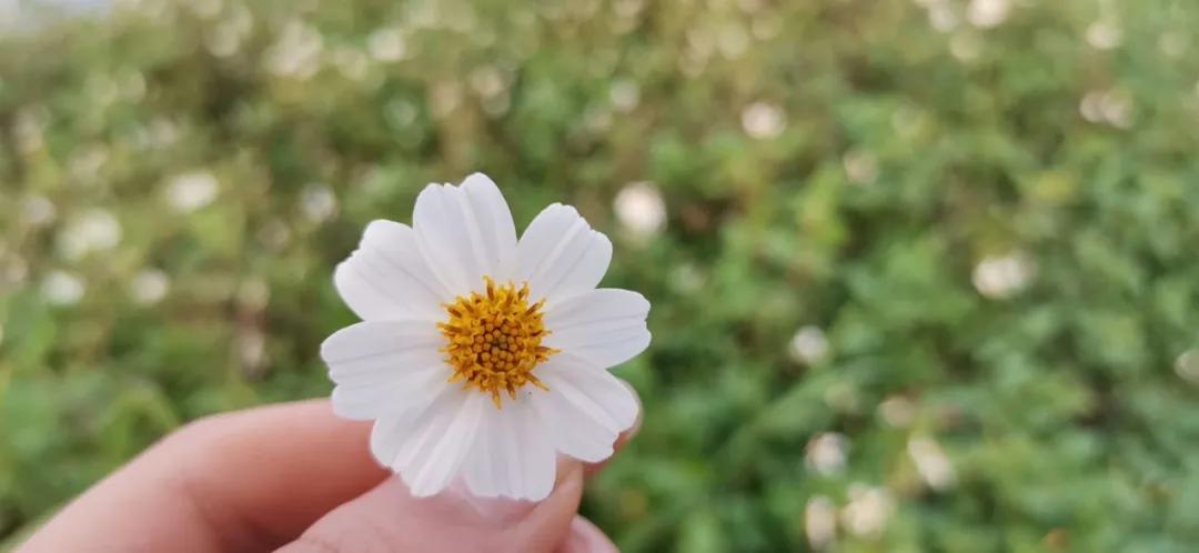 去了一趟墓地感悟,路过公墓感慨