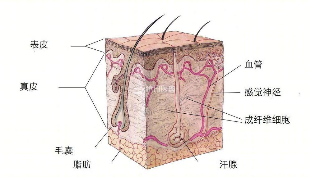 27岁男生脚臭,年轻小伙脚臭