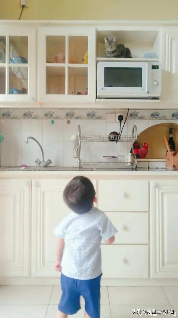 疫情下的异国日记,海外疫情中的生活