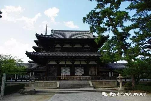 「树种介绍」软木中的贵族——日本桧木