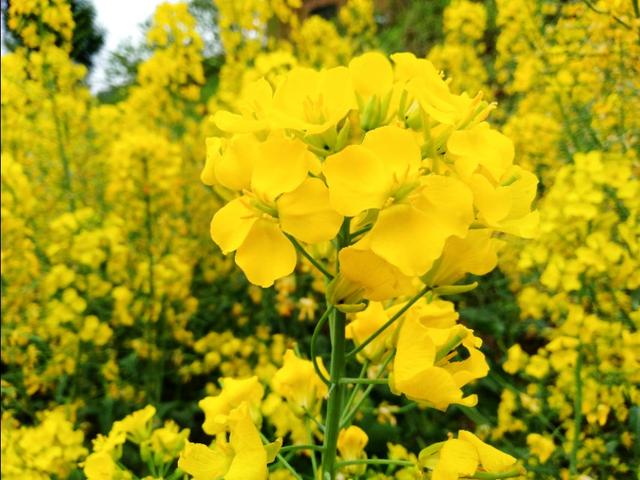 如果室友偷你东西怎么办,如果舍友偷拿东西可以报警吗