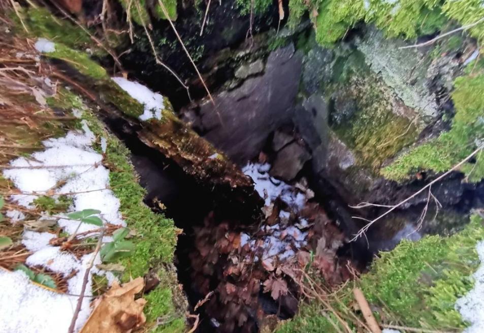 金毛掉进下水沟,金毛掉进下水道狗狗拼命相救