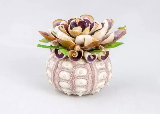 海边捡的贝壳可以做什么手工,贝壳创意手工种花