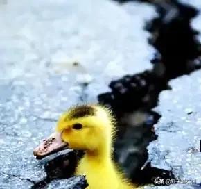 钓鱼空军的几大原因你知道吗,钓鱼如何避免空军