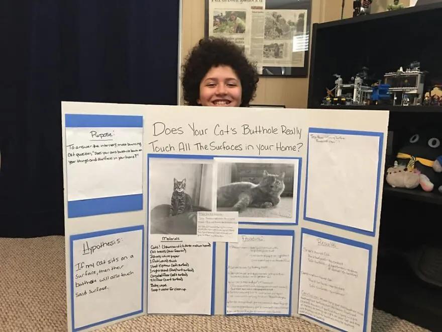 猫咪的菊花是否触碰到了家里的任一角落？一名小学生对此做了研究