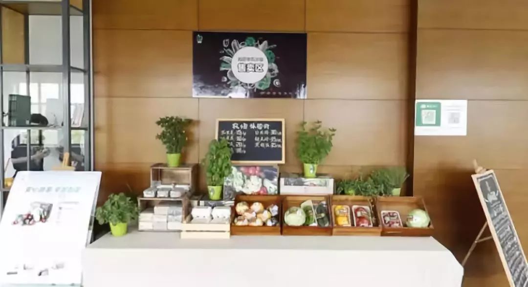 一个有机农场的商业探索