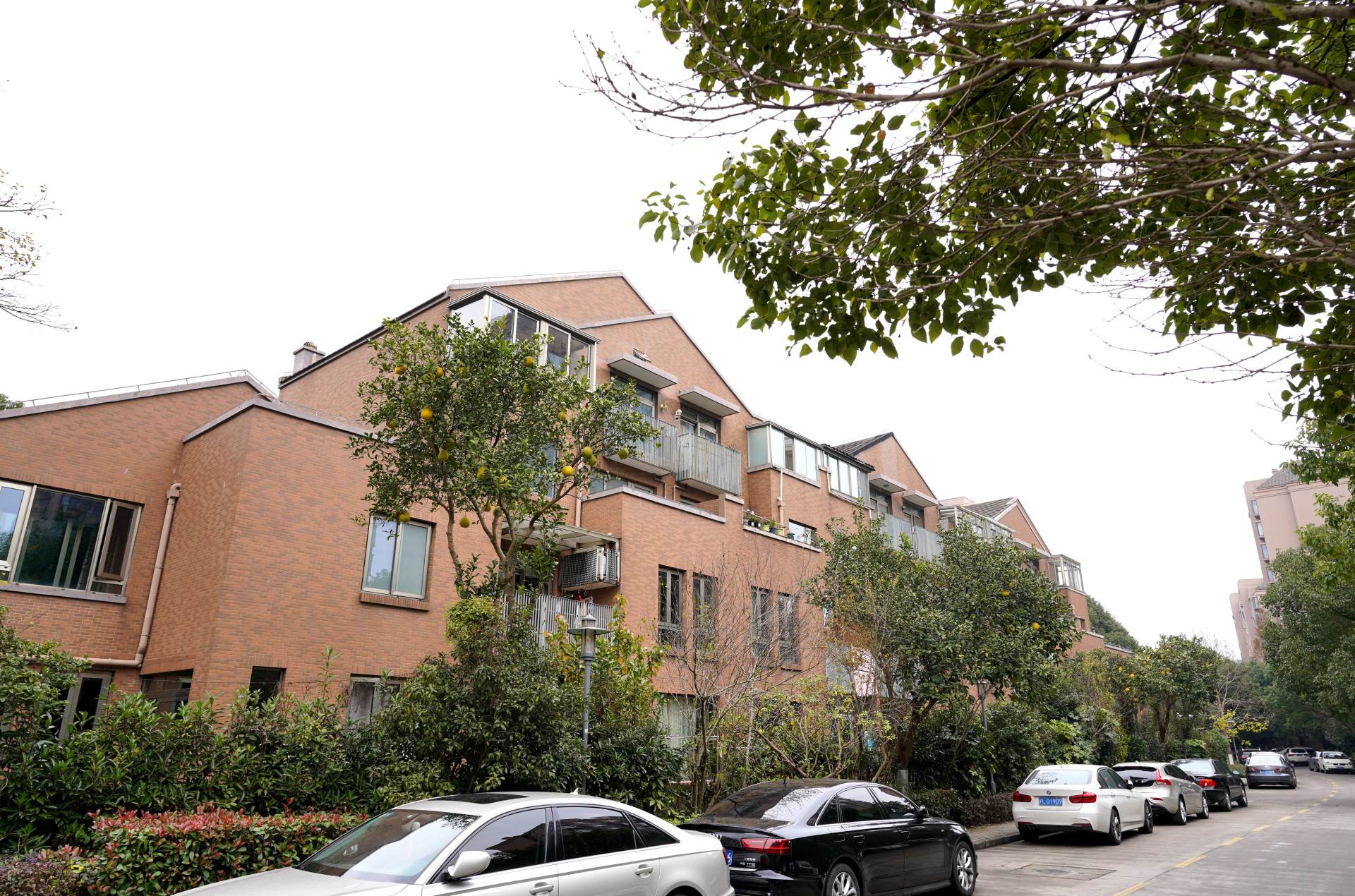 新手小白必备的相机配件,新手推荐买的相机配件