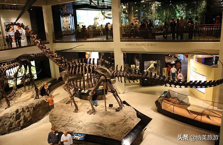 休斯敦之不仅仅是火箭队