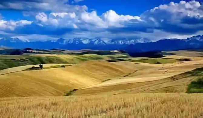 新疆昌吉州奇台县碧流河腰站子村,奇台县腰站子村概况