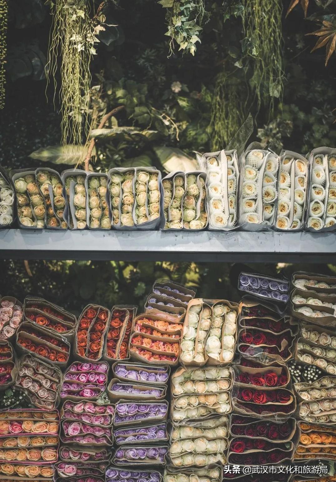 武汉私藏浪漫,私藏浪漫攻略