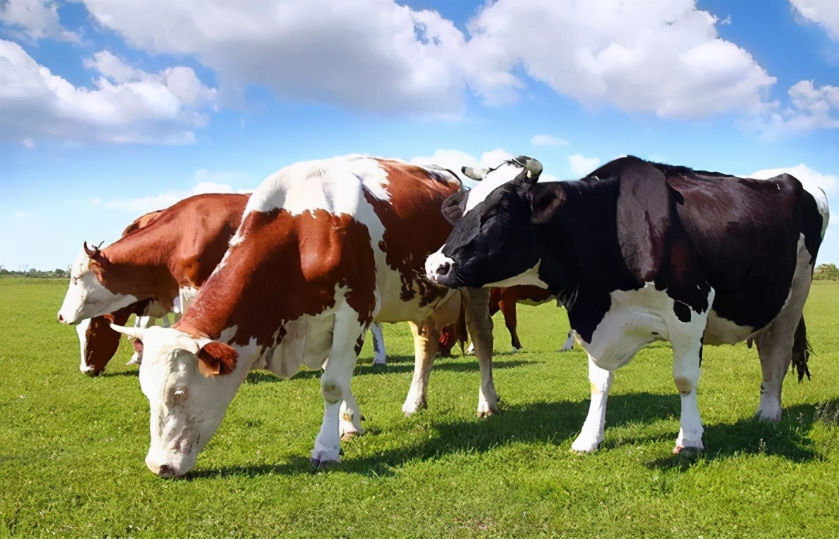 初生婴儿喝什么牌子奶粉好求推荐,1分钟了解初生婴儿奶粉怎么选