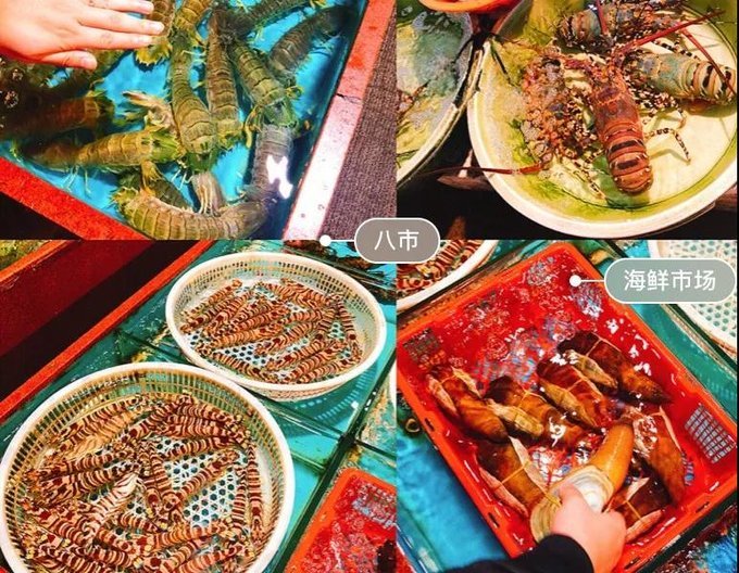 2023年厦门自由行热门攻略,厦门春节旅游攻略自由行最佳路线