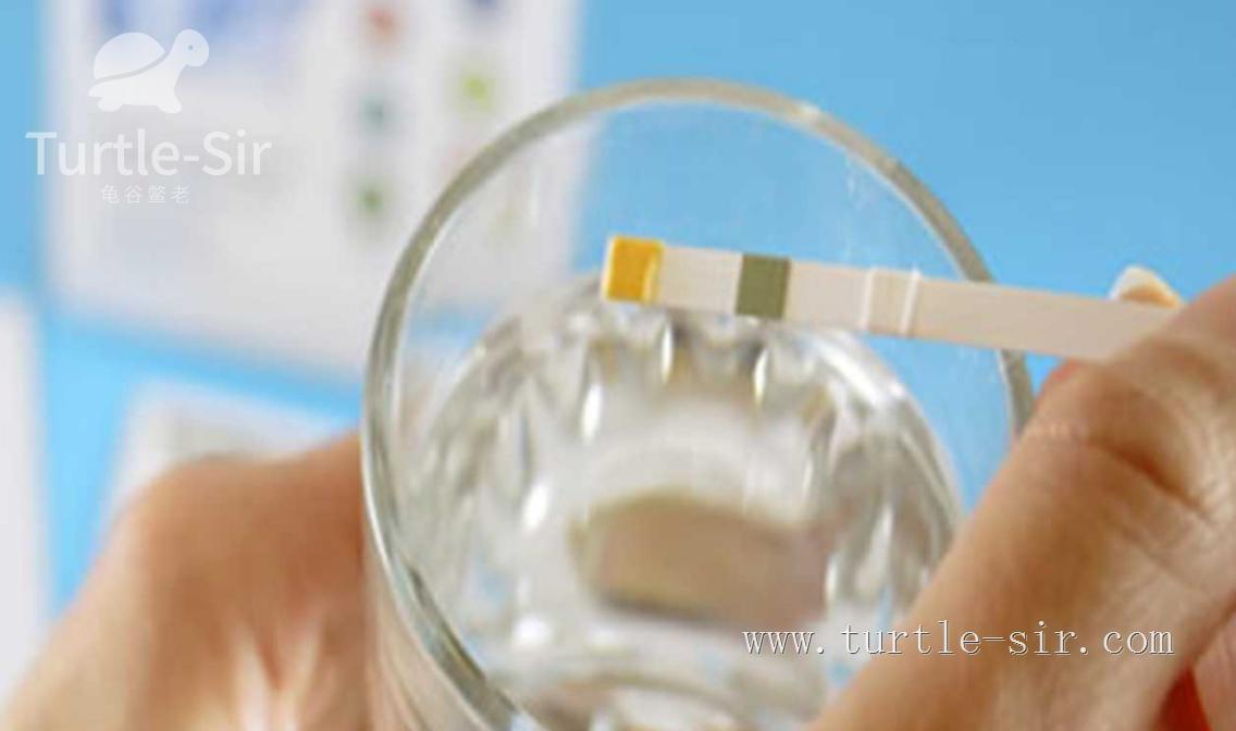 龟缸养龟怎么保持水质清澈,养龟之道如何掌握适宜龟缸水位