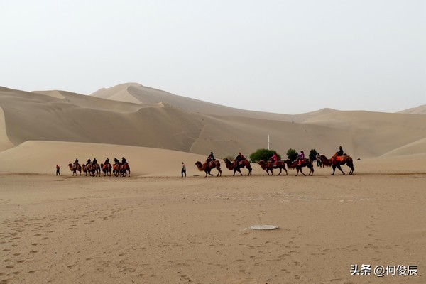 鸣沙山月牙泉堆满了游客,鸣沙山月牙泉景区