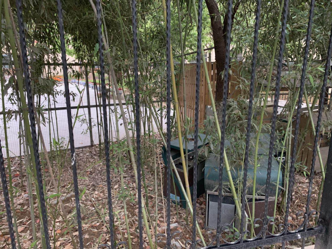 合肥高新区五大教育片区,合肥高新区兴园