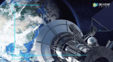 猛虎落泪指的什么动物打一生肖,猛虎落泪代表什么生肖打一动物