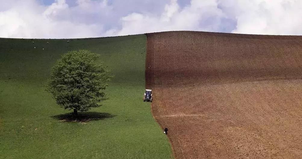 于殿利读书节,中国出版集团于殿利